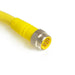 Z-MS8KAA471 – HTM Sensors Mini Connector Cable 8 Pin Male Straight